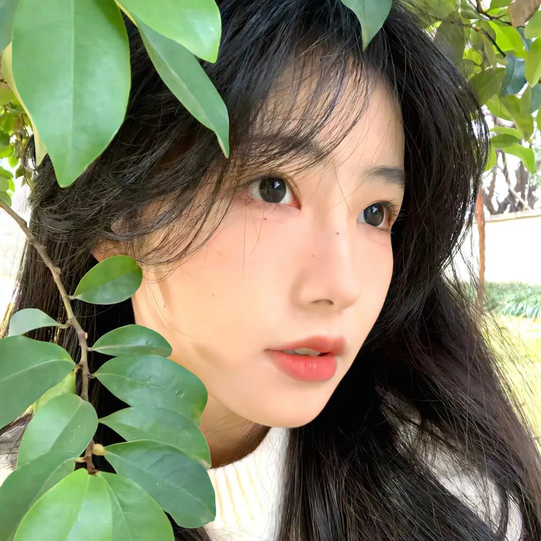 孽子