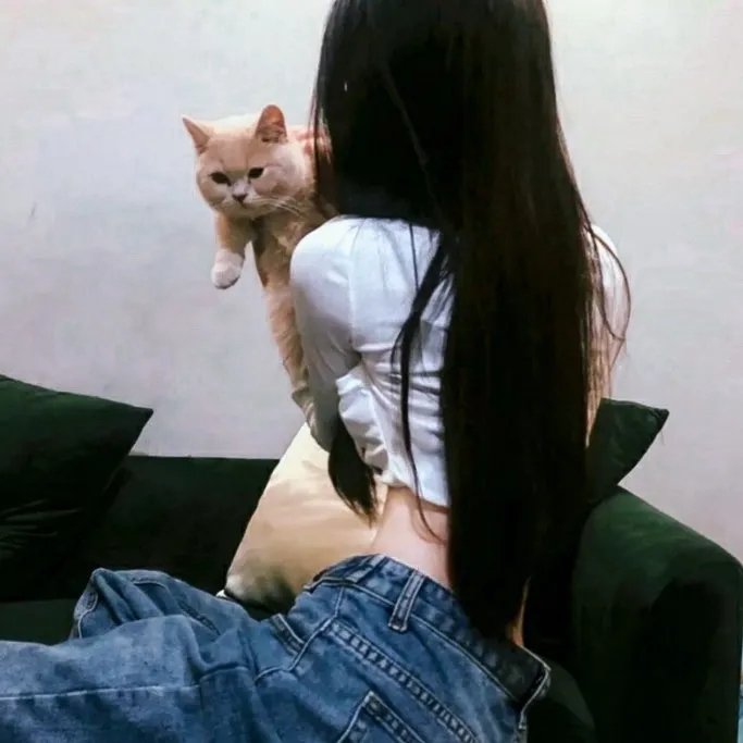 全职法师第六季